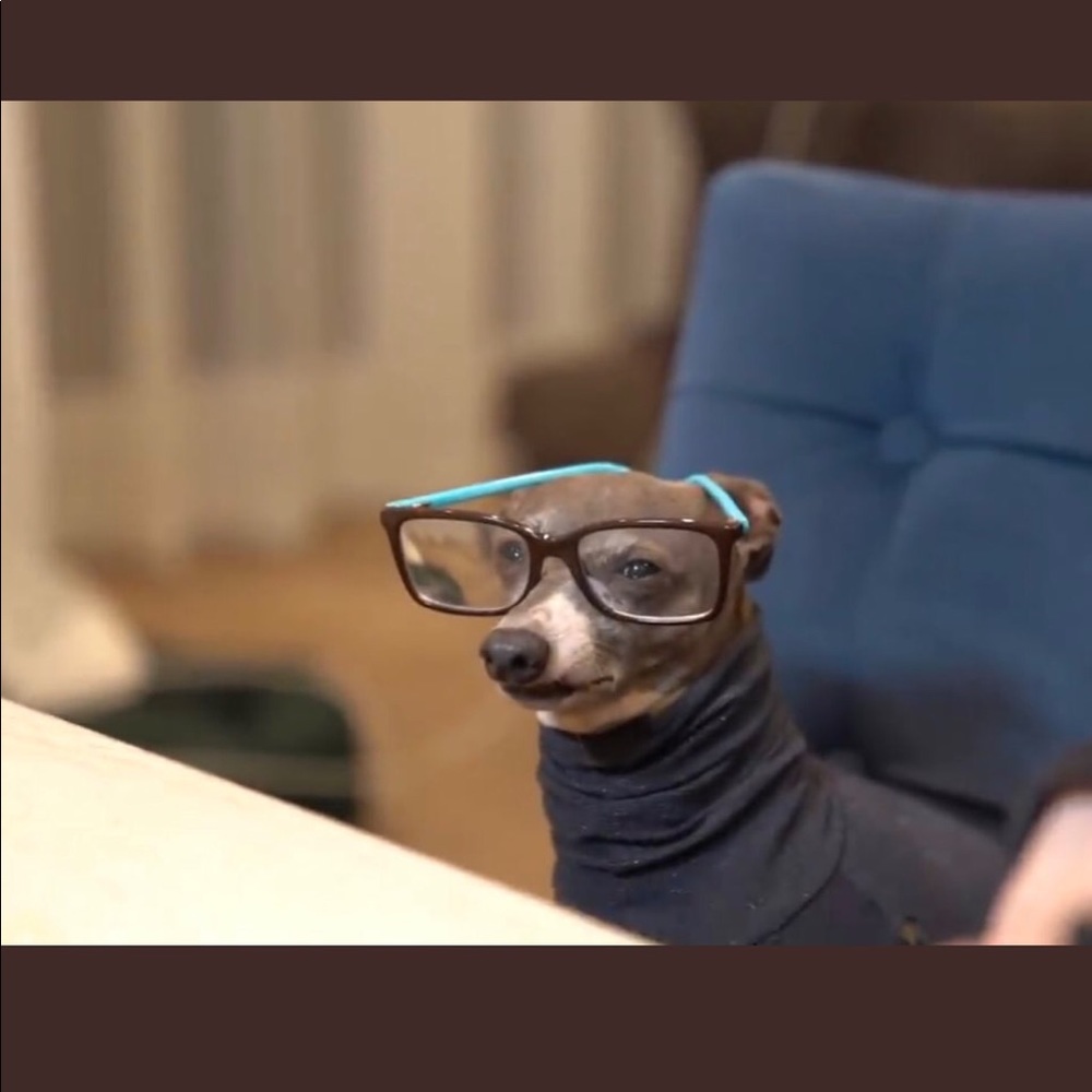 Meet your Posher, Derek